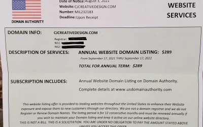 Domain Renewal in the Mail?