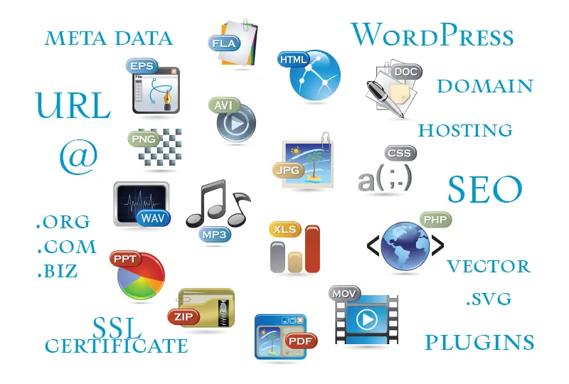 design & website terms floating around: url, meta data, @, .org .biz .com, WordPress, domain, hosting, SEO, Vector, .svg, plugins, ssl certificate. And icons for eps, fla, html, doc, png, wav, mp3, ppt, zip, xls, pdf, mov, css, php